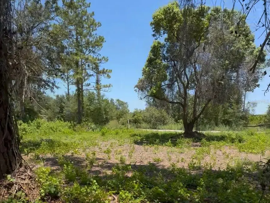 434 Ranchette Road, New Smyrna Beach, FL 32168 - #2