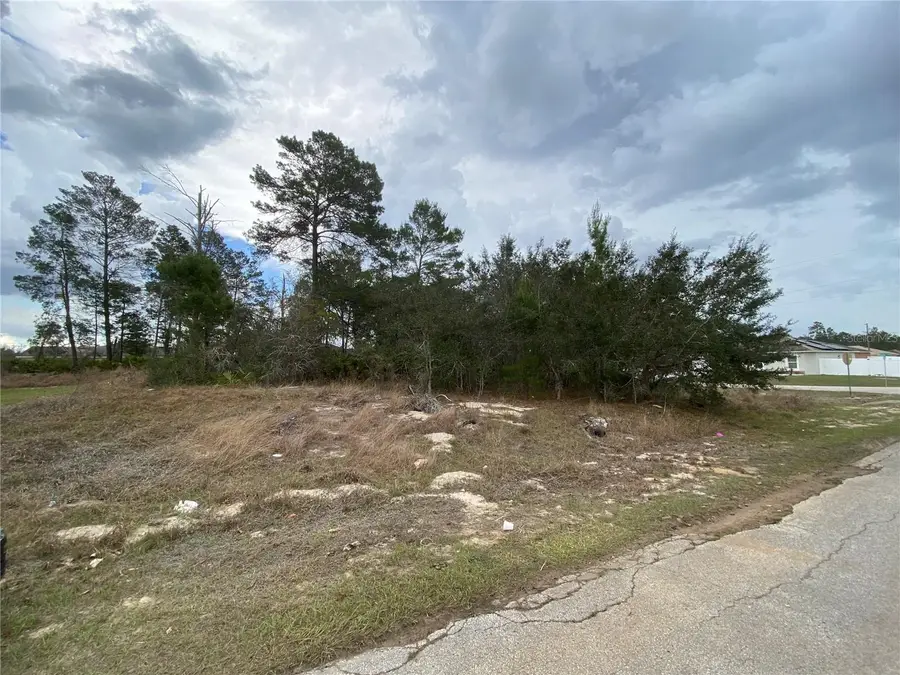 174 Maple Drive, Poinciana, FL 34759 - #3