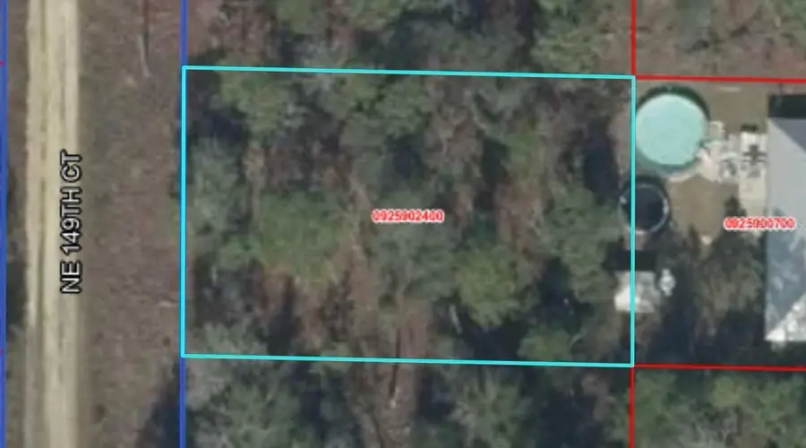 Ne 149th Ct, Williston, FL 32696 - #2
