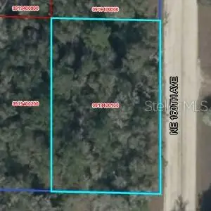 Lot 2 Ne 160th Ave, WILLISTON, FL 32696