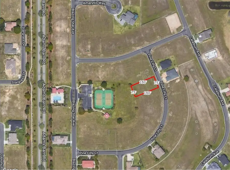 253 Pine Lilly Court, Lake Alfred, FL 33850 - #2