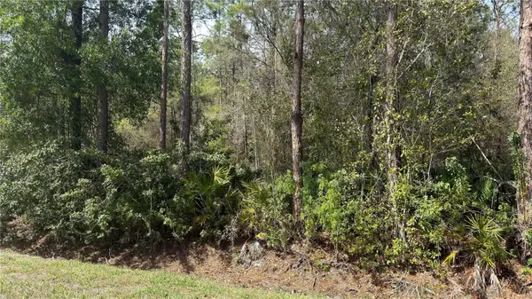 4801 E La Flam Road, AVON PARK, FL 33825