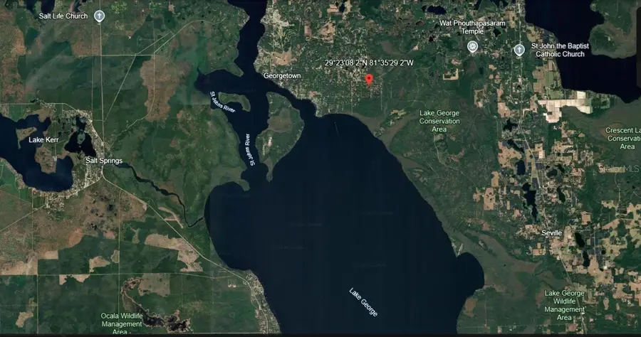 433 Gardenia Avenue, Georgetown, FL 32139 - #2