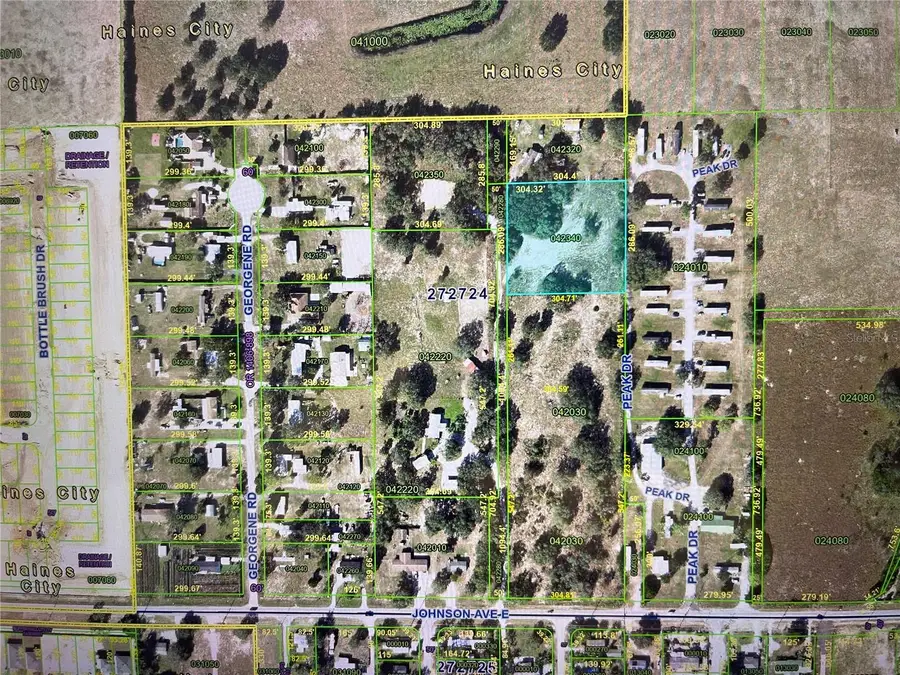 Peak Drive, Haines City, FL 33844 - #2