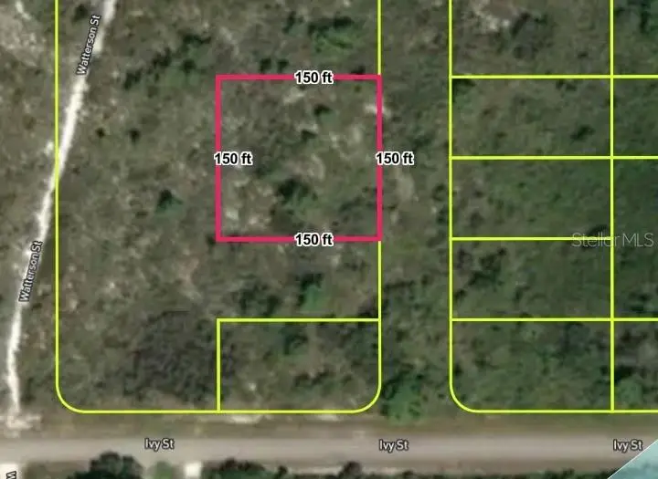 678 Bourbon Street, Lake Placid, FL 33852 - #2