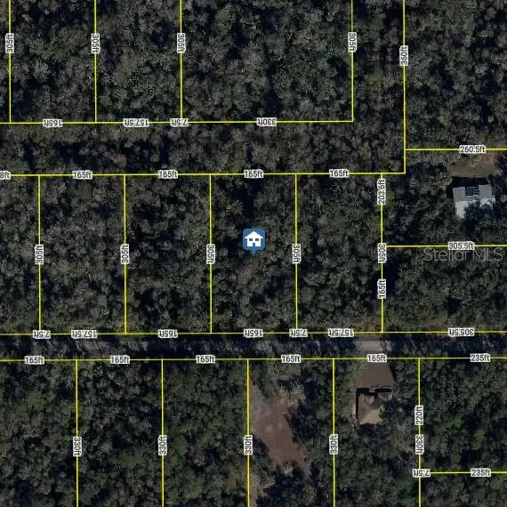 11939 W Wildflower Street, Crystal River, FL 34428 - #2