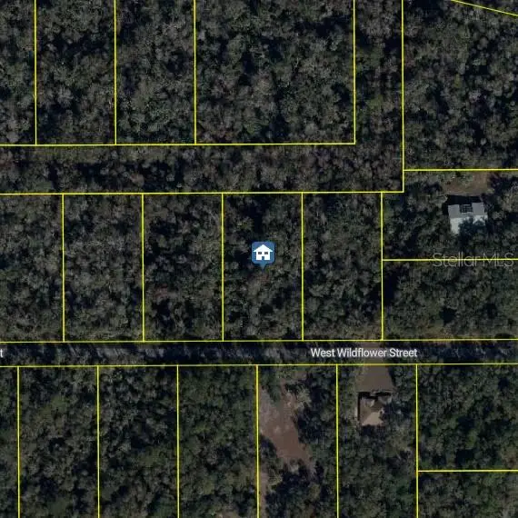 11939 W Wildflower Street, Crystal River, FL 34428 - #3