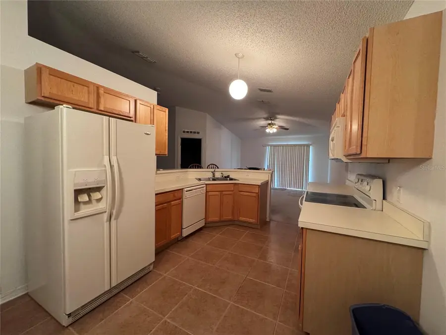 273 Curtis Avenue, Groveland, FL 34736 - #3