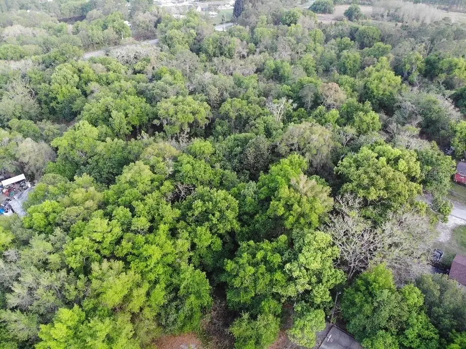 2156 Old Hickory Tree Road, Saint Cloud, FL 34772 - #1