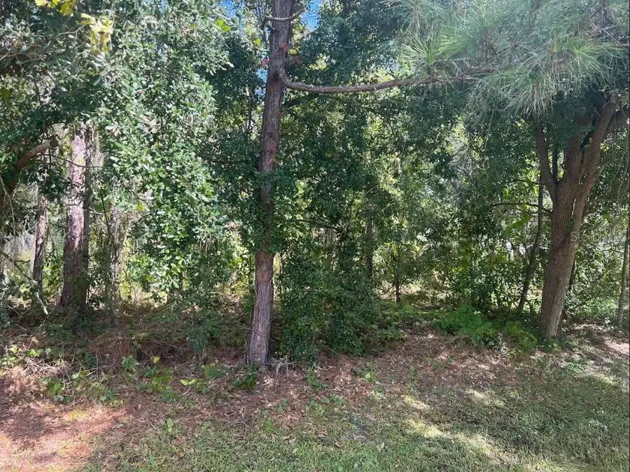 Wauchula Street, Intercession City, FL 33848 - #2