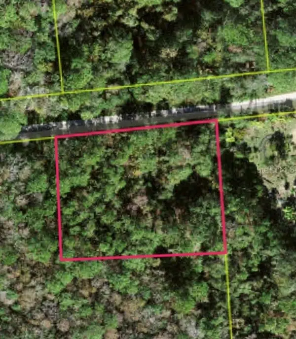 Lot 48 Amelia Trail, KISSIMMEE, FL 34747