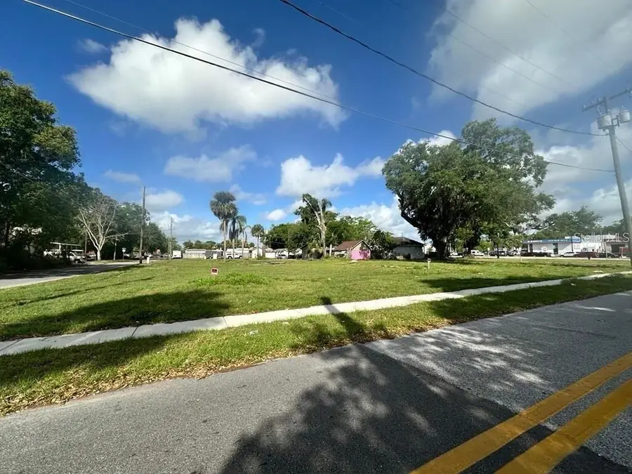 1314 Brack Street, Kissimmee, FL 34744 - #3
