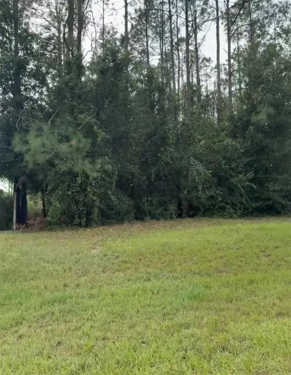 Lake Smith Road, UMATILLA, FL 32784