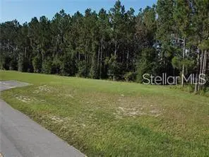 Lake Smith Road, Umatilla, FL 32784 - #1