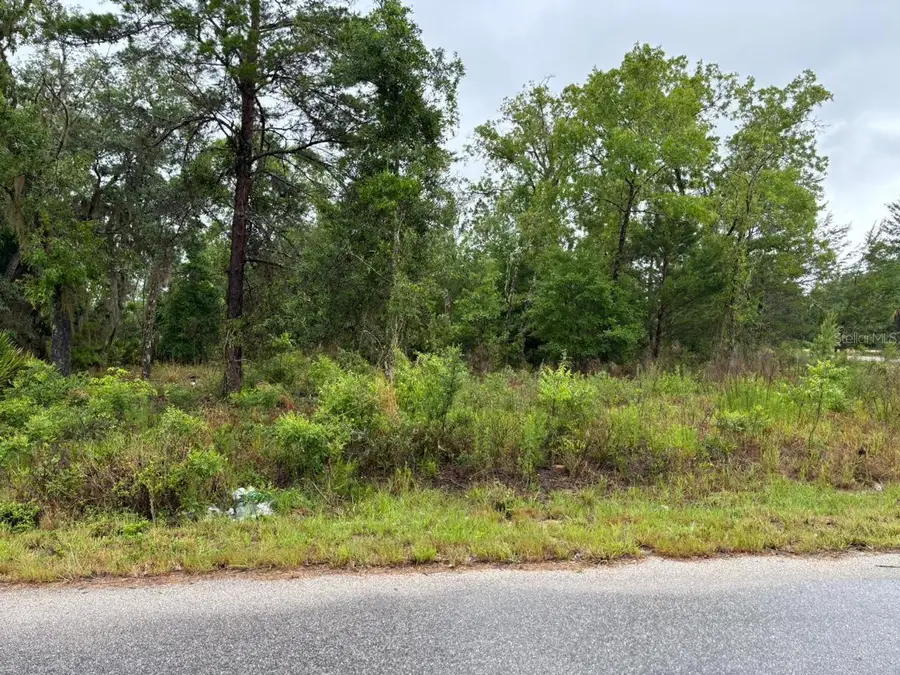 1 Malauka Radial Drive, Ocklawaha, FL 32179 - #2