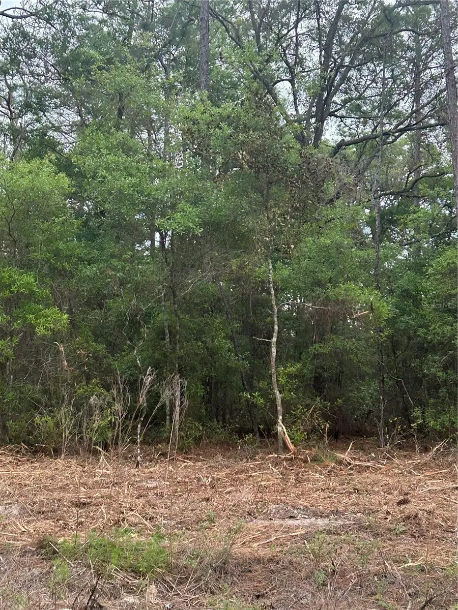 10831 N Mataro Avenue, Citrus Springs, FL 34434 - #2