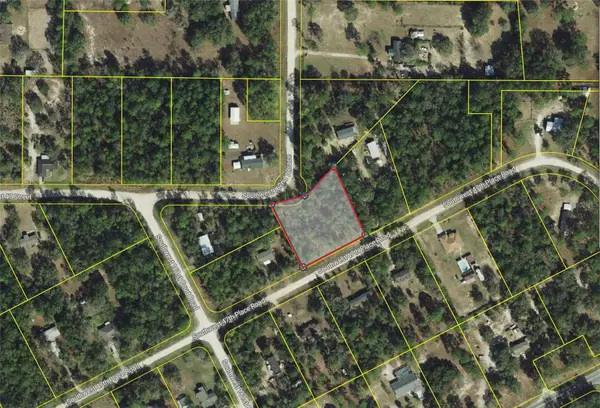 16175 SW 47th Place Road, OCALA, FL 34481