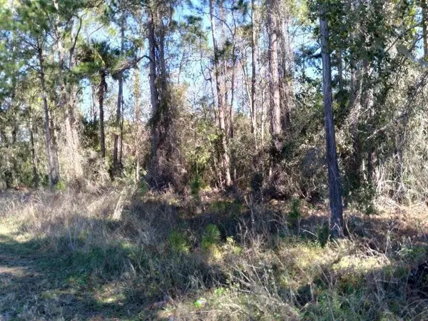 Poyner Road, POLK CITY, FL 33868