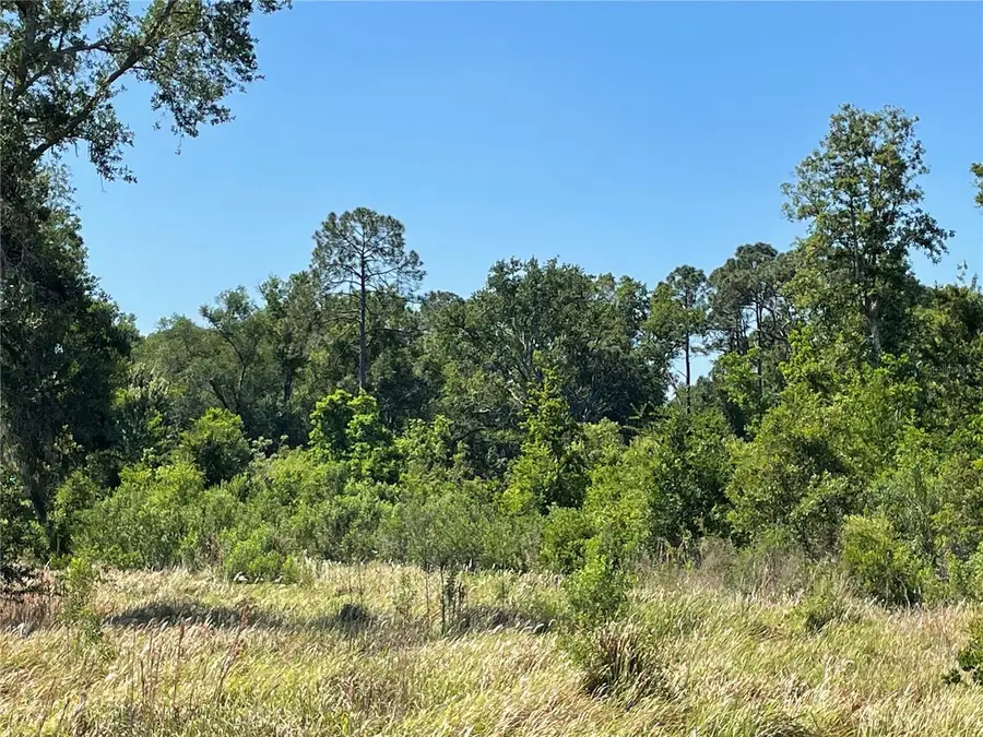 Avonwood, Tampa, FL 33625 - #2