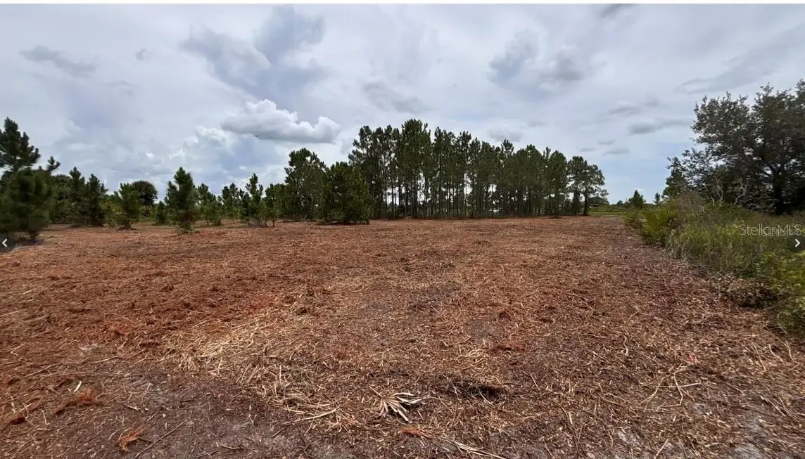 18121 NW 304th Street, Okeechobee, FL 34972 - #1