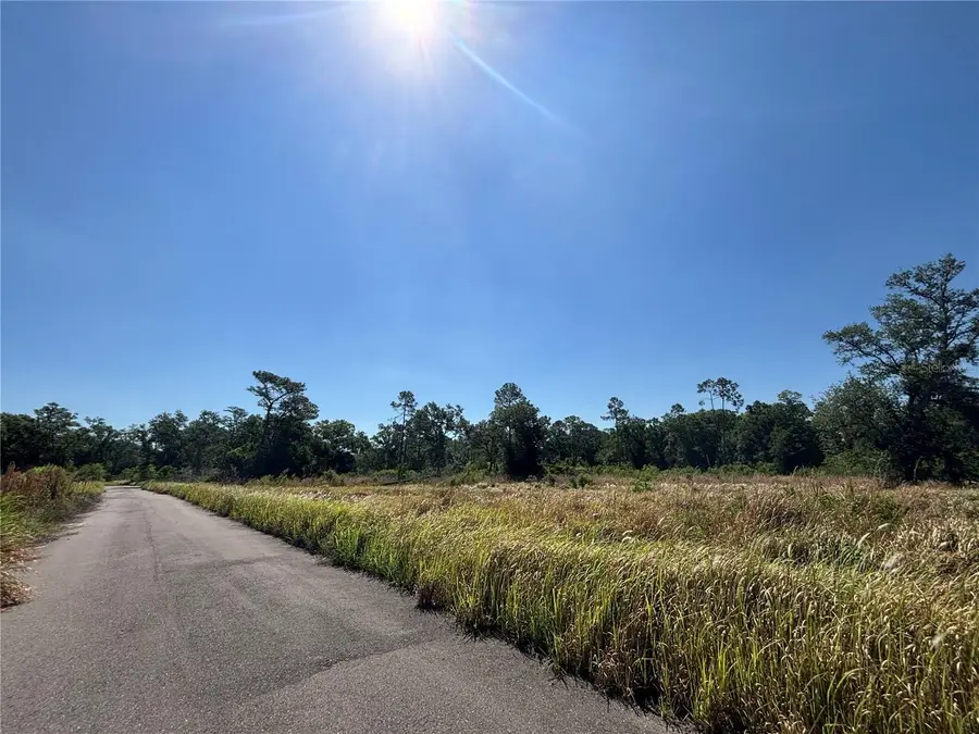 Ardenwood, Tampa, FL 33625 - #2