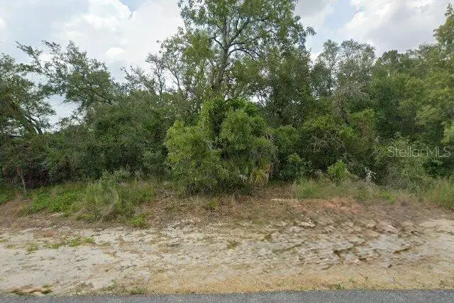 10381 Clarion Street, Spring Hill, FL 34608 - #2