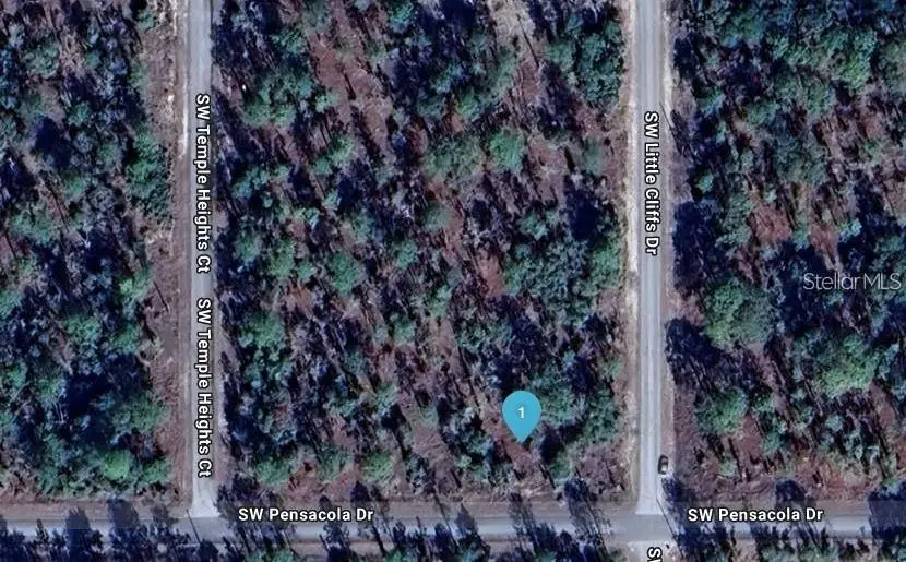 Southwest Pensacola Drive, Dunnellon, FL 34431 - #1