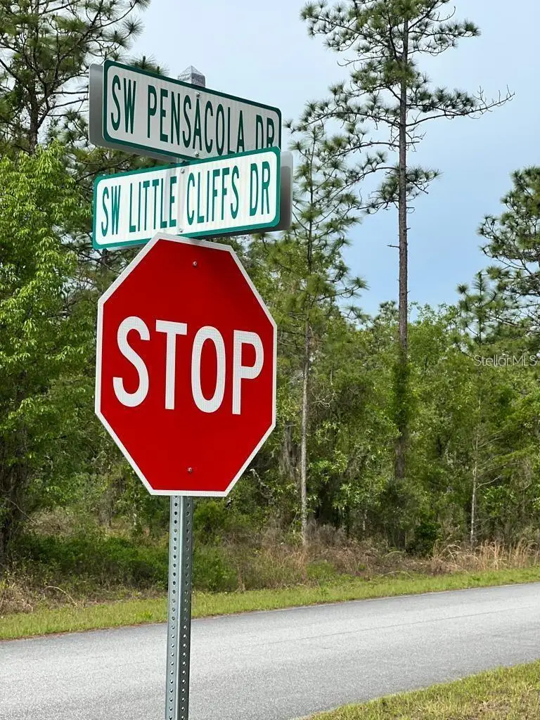 Southwest Pensacola Drive, Dunnellon, FL 34431 - #2