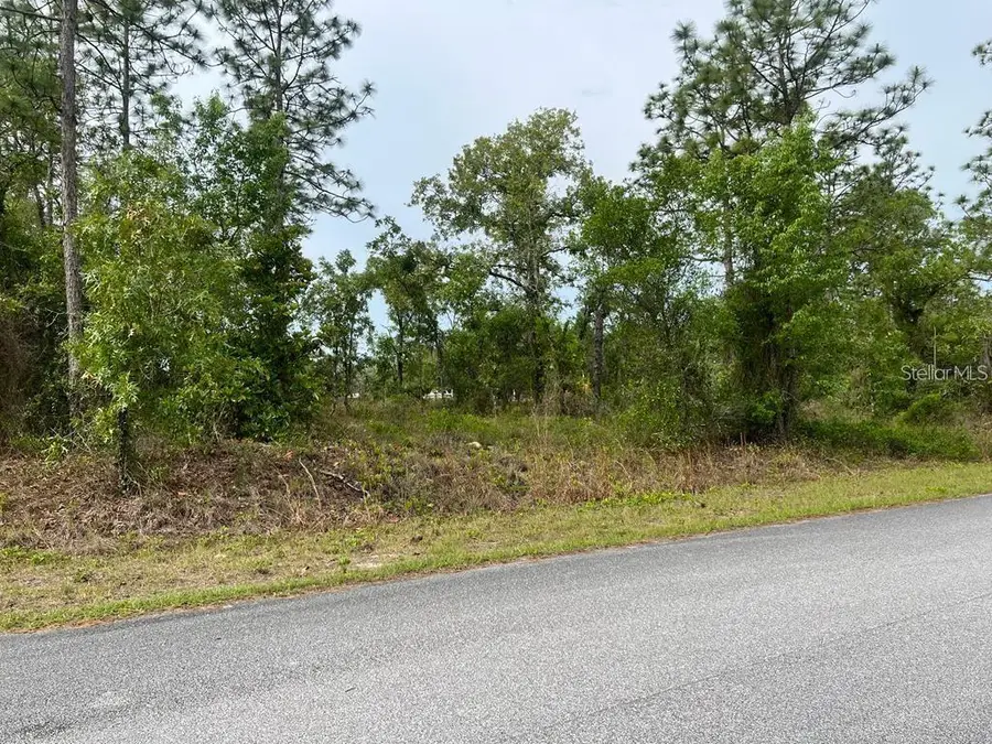 Southwest Pensacola Drive, Dunnellon, FL 34431 - #3