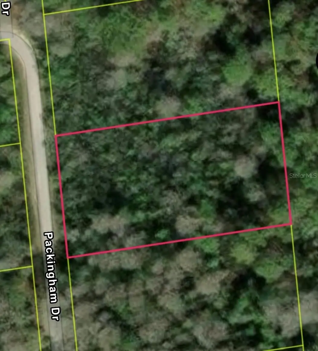 Packingham Dr, Lot 10, Webster, FL 33597 - #1