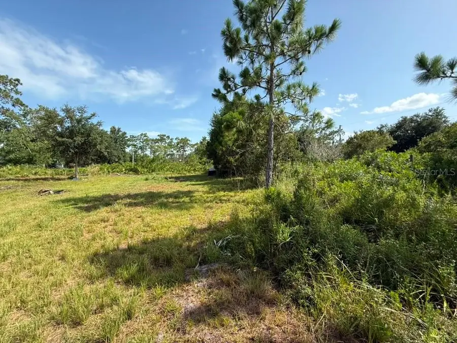 6139 Krazy, Saint Cloud, FL 34773 - #3