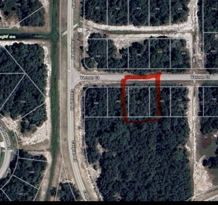 441 Vernon Court, Poinciana, FL 34759 - #3