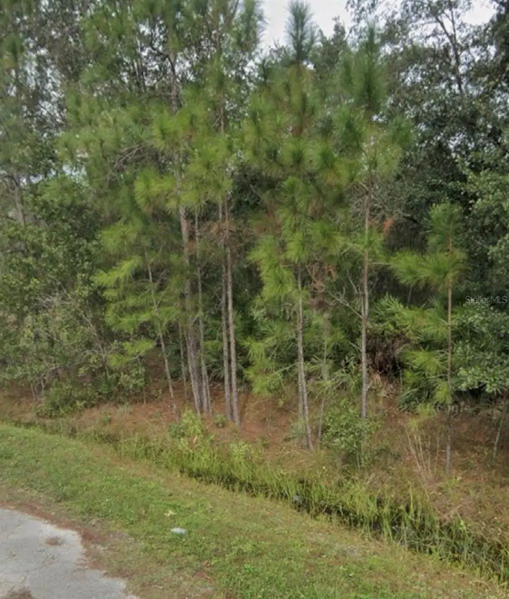 1437 Tern Court, Poinciana, FL 34759 - #1