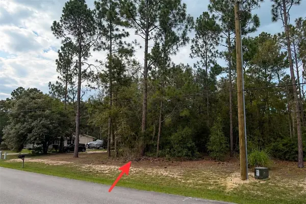 67xx Sw 207th Court, DUNNELLON, FL 34431