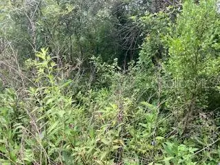 Sweetwater Trail, Kissimmee, FL 34747 - #1