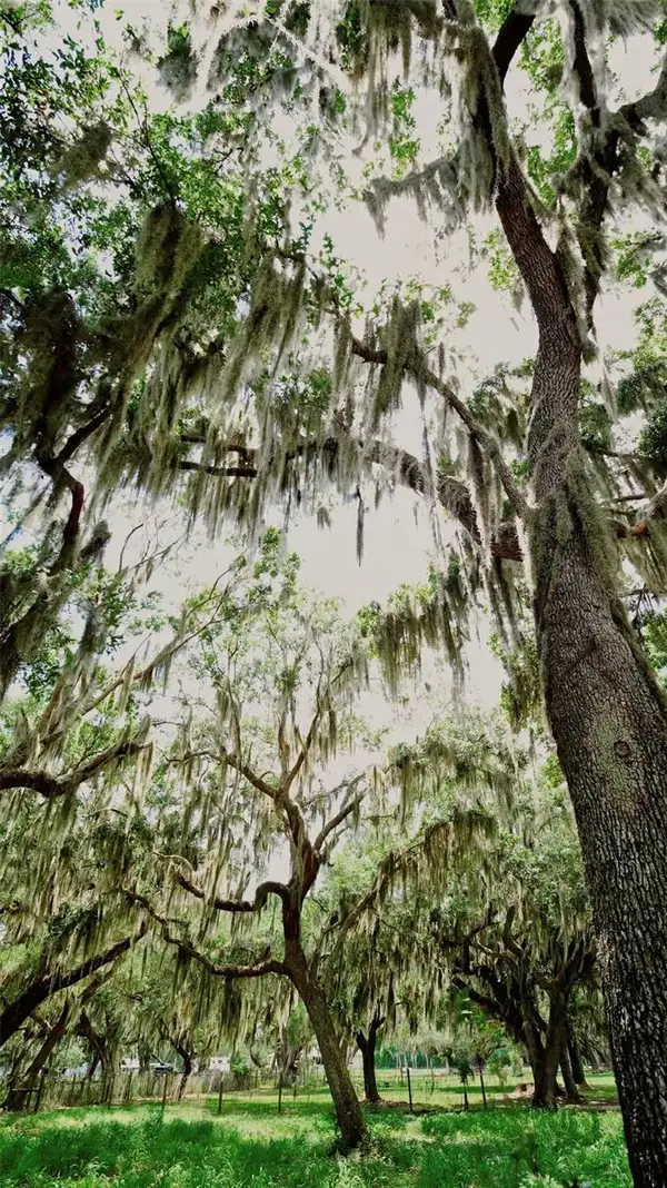 Parkway Avenue, ST CLOUD, FL 34772