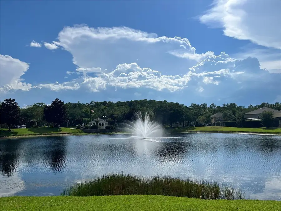 10068 Silver Laurel Way, Orlando, FL 32832 - #3