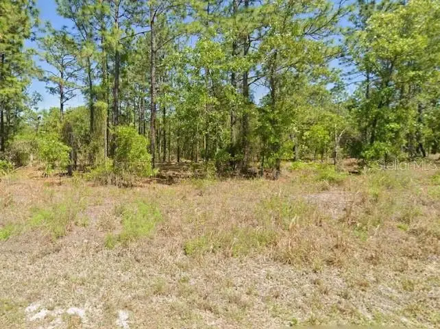 Sw Harbor Hills Rd, Dunnellon, FL 34431 - #2