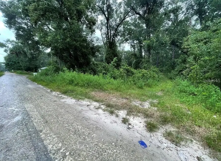 Undetermined, Summerfield, FL 34491 - #2