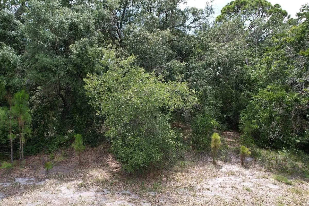 1008 Wildflower Street, Lake Placid, FL 33852 - #1