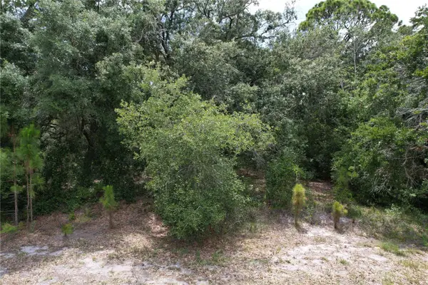 1008 Wildflower Street, LAKE PLACID, FL 33852