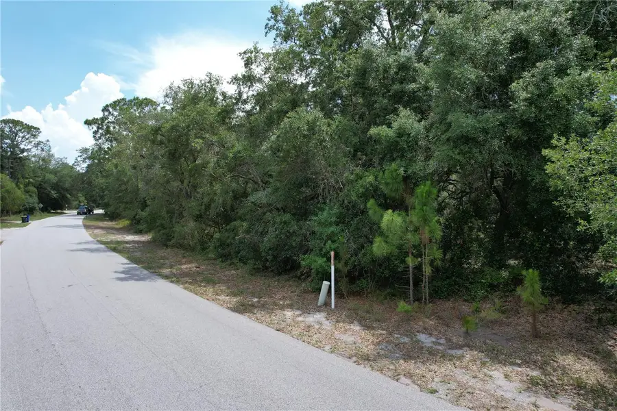 1008 Wildflower Street, Lake Placid, FL 33852 - #2