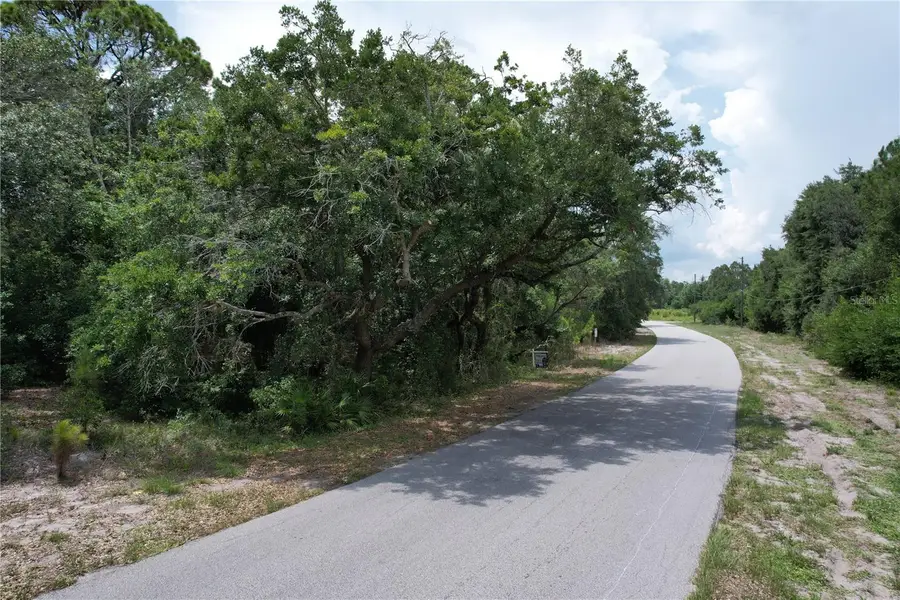 1008 Wildflower Street, Lake Placid, FL 33852 - #3