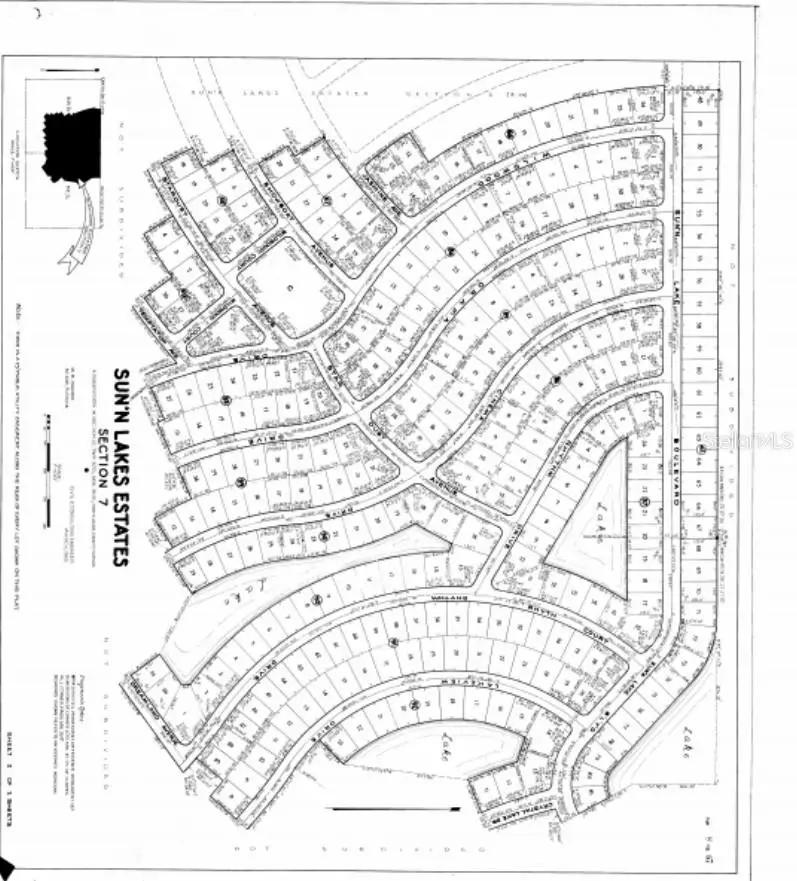 388 Stardust Avenue, Lake Placid, FL 33852 - #3