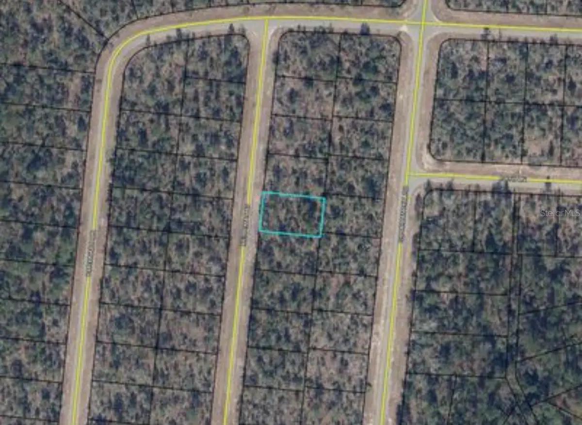 Merrimac Avenue, Chipley, FL 32428 - #1