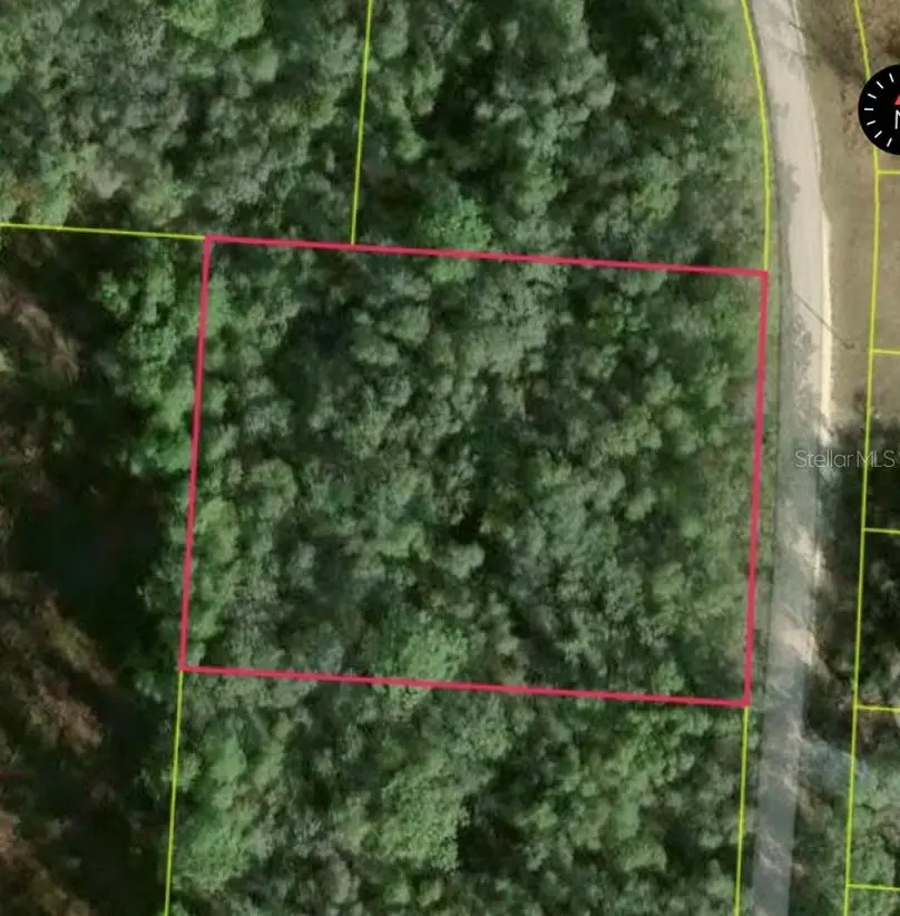 34253 Berryhill Drive, Webster, FL 33597 - #2
