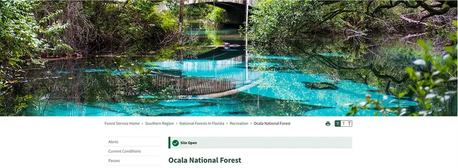 69 Se, Ocklawaha, FL 32179 - #3