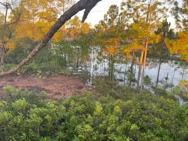 43820 Redlands Drive, DELAND, FL 32720
