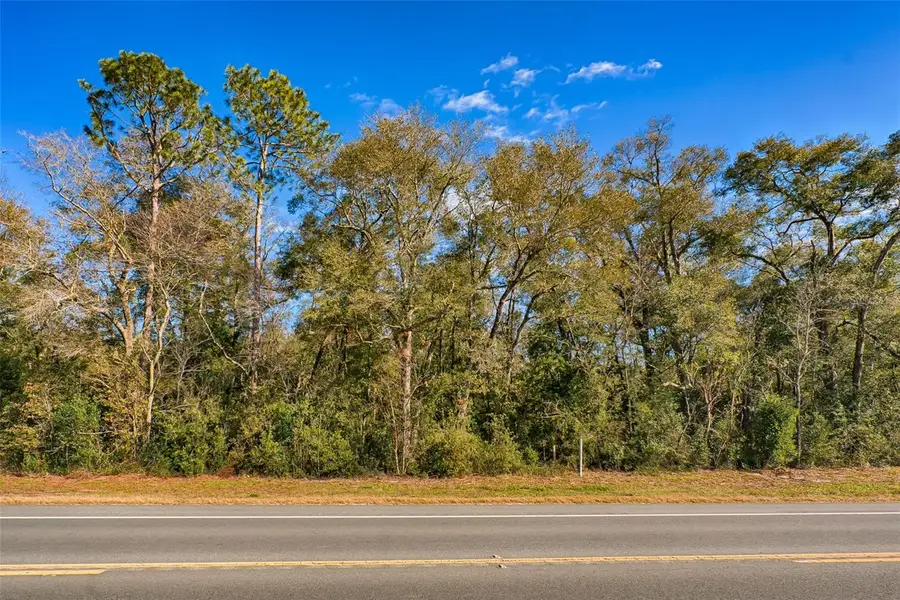 S Us Hwy 129, Bell, FL 32619 - #3