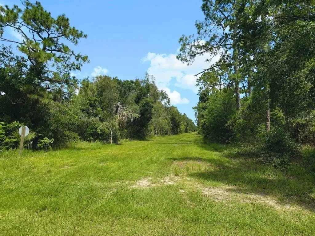 Blk 254 Lot 7 El Dorado Drive, Indian Lake Estates, FL 33855 - #1